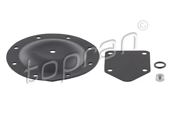 Membrana pompa vacuum
