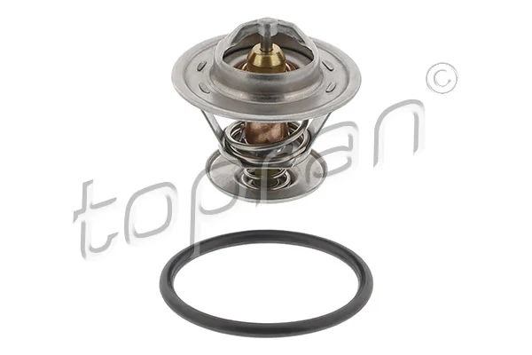 Termostat lichid racire
