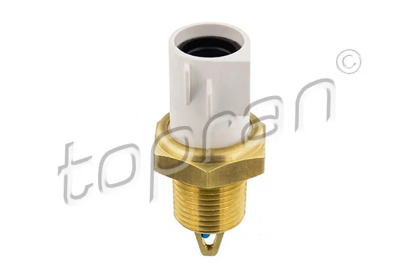 Senzor temperatura aer admisie