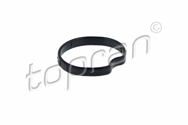 Garnitura carcasa termostat