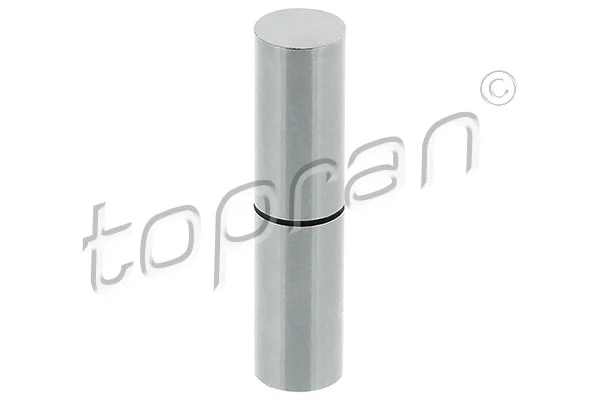 Tachet pompa vacuum (sistem franare)