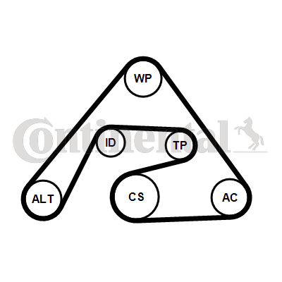 Set curea transmisie cu caneluri