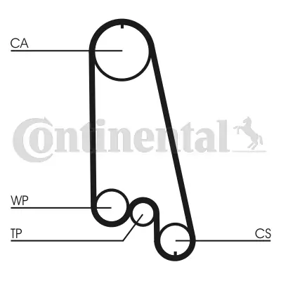 Set distributie curea