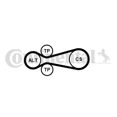 Set curea transmisie cu caneluri