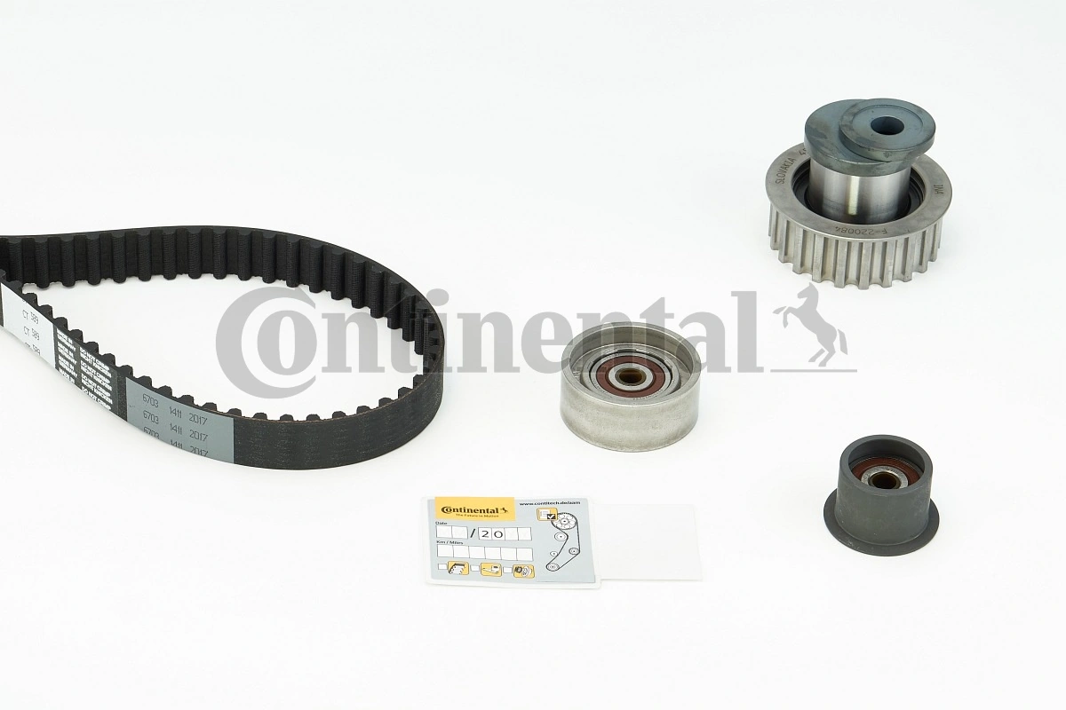 Set distributie curea