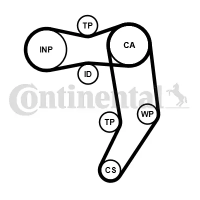 Set distributie curea