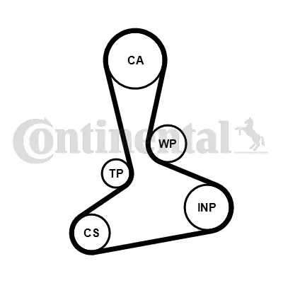 Set distributie curea