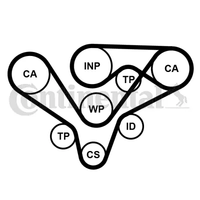 Set distributie curea