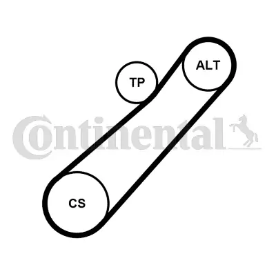 Set curea transmisie cu caneluri