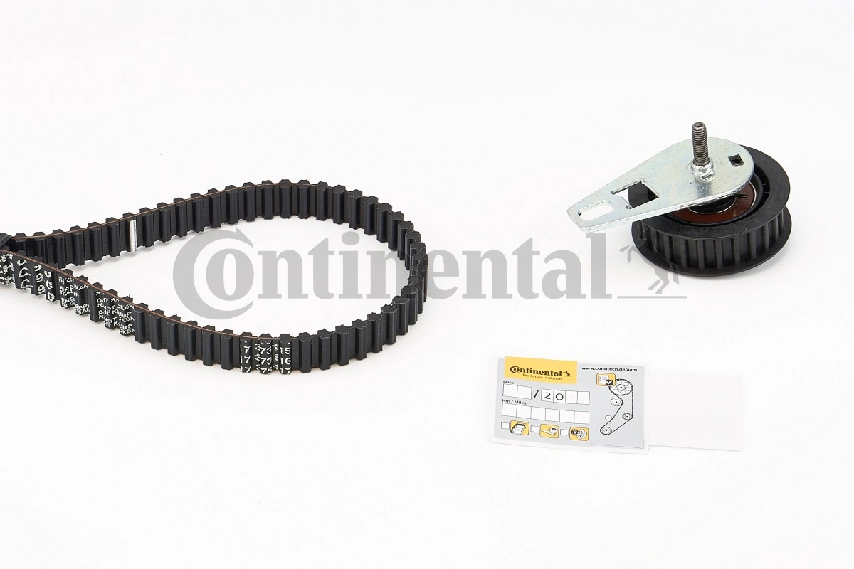Set distributie curea