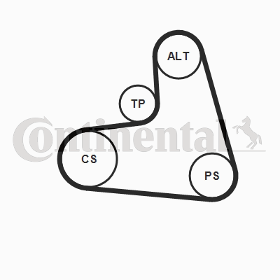 Set curea transmisie cu caneluri