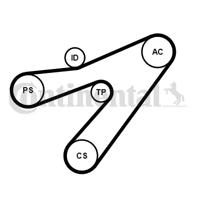 Set curea transmisie cu caneluri