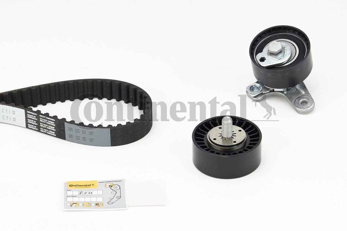 Set distributie curea