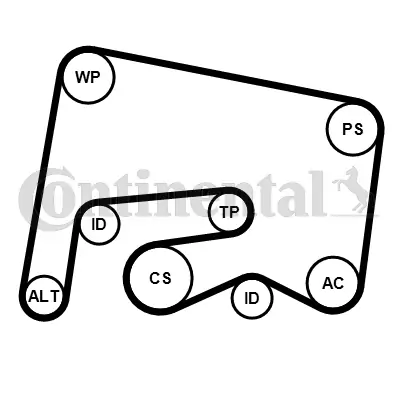 Set curea transmisie canelată 6PK2155
