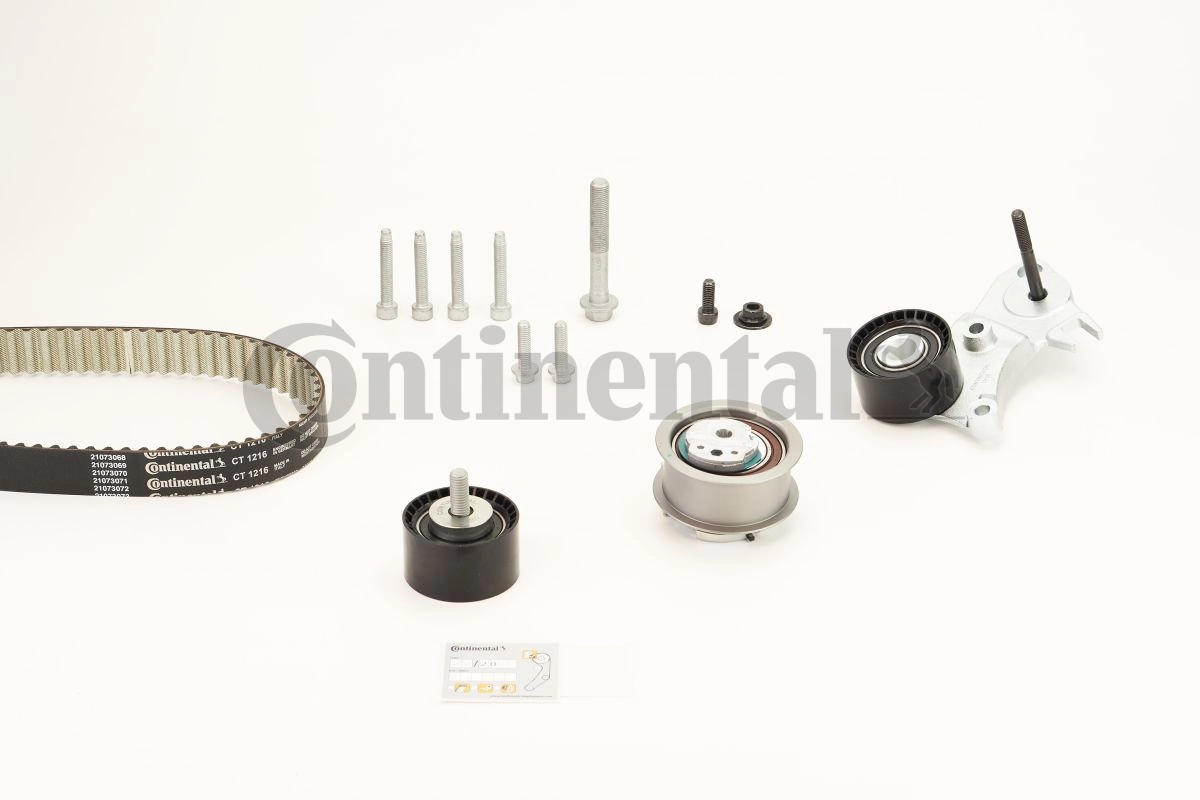 Set distributie curea