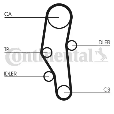 Set distributie curea