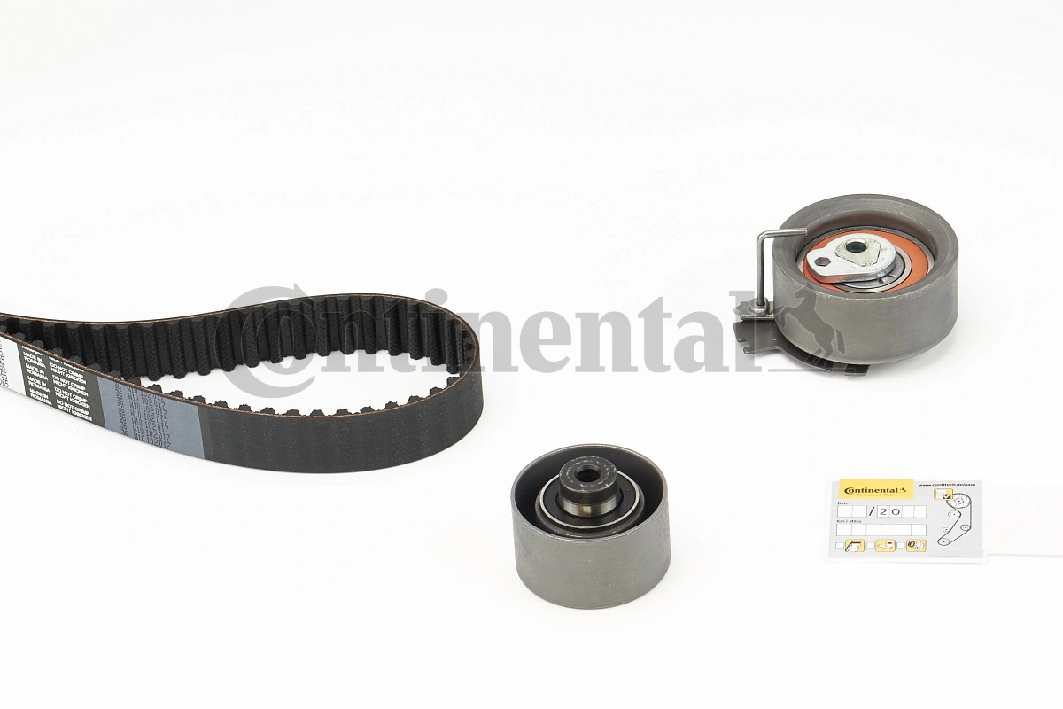 Set distributie curea