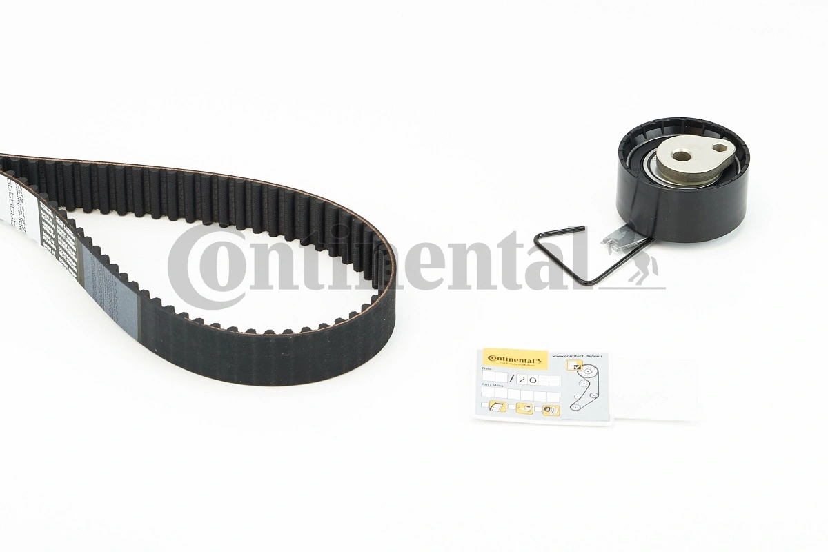Set distributie curea