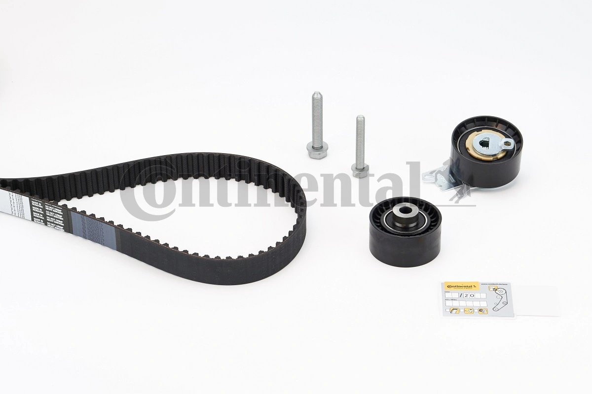 Set distributie curea