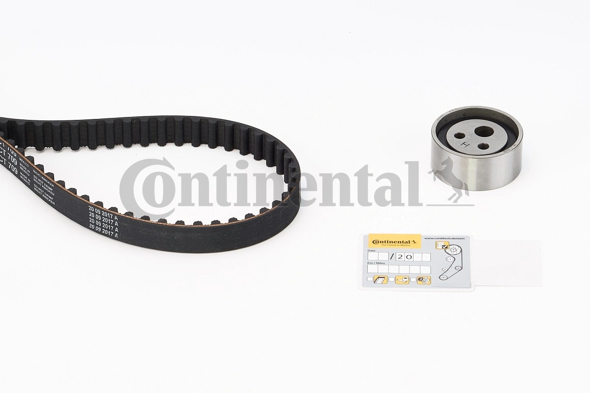 Set distributie curea