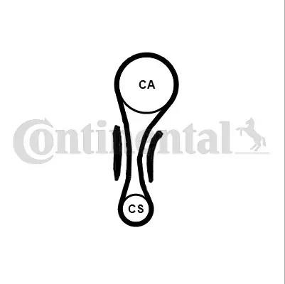 Set curea de distributie