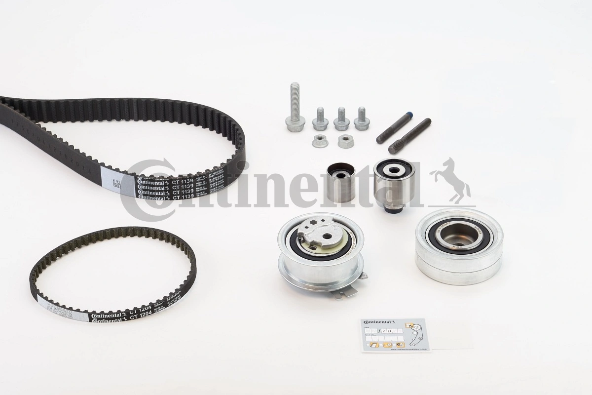 Set distributie curea