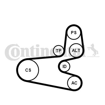 Set curea transmisie cu caneluri