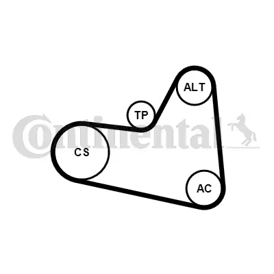 Set curea transmisie cu caneluri