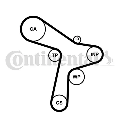 Set distributie curea