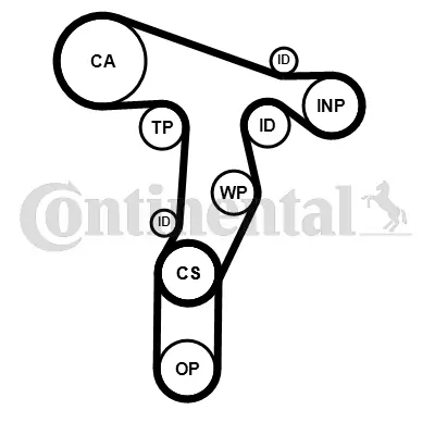 Set distributie curea
