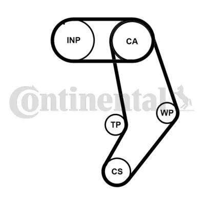 Set distributie curea