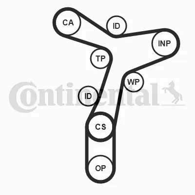Set distributie curea
