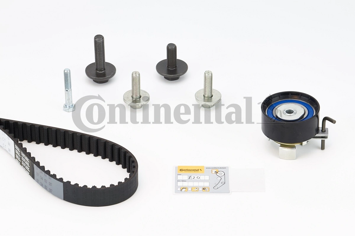 Set distributie curea