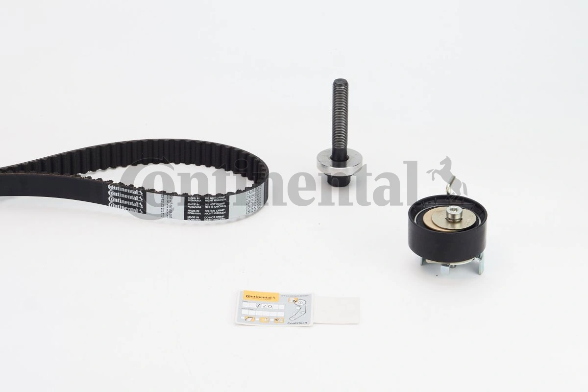 Set distributie curea