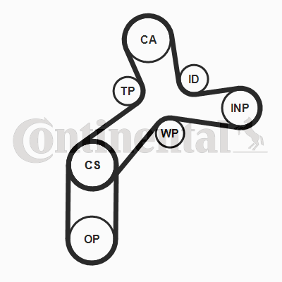 Set distributie curea
