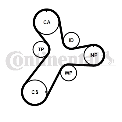 Set distributie curea