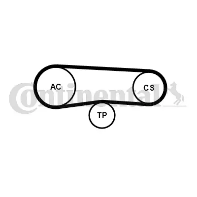 Set curea transmisie cu caneluri