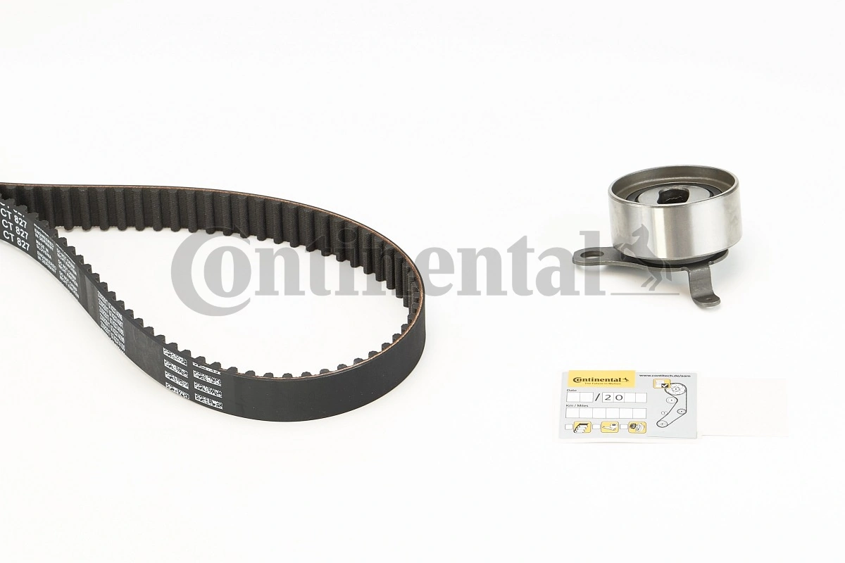 Set distributie curea