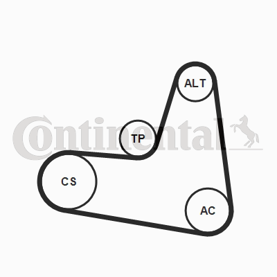 Set curea transmisie cu caneluri