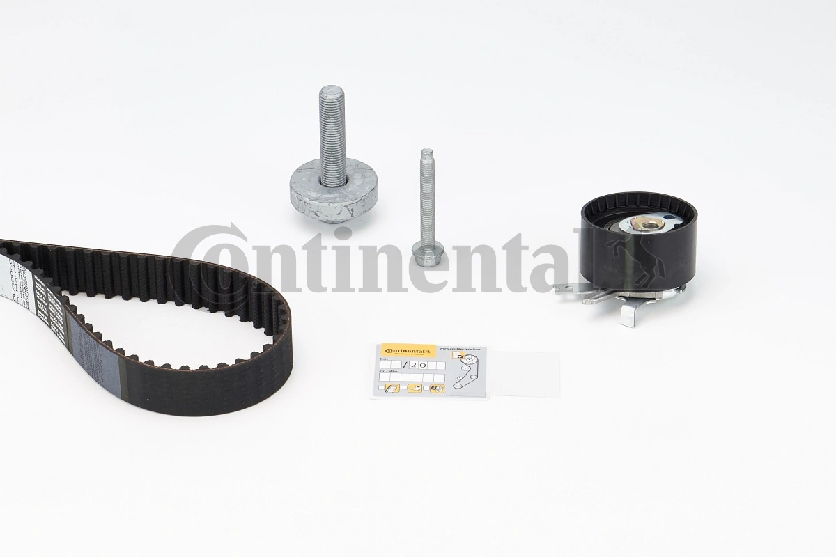 Set distributie curea