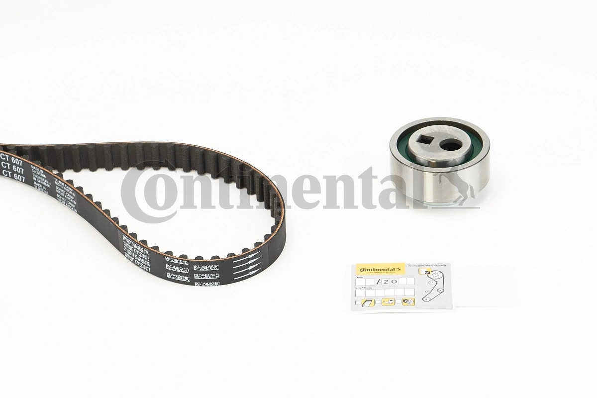 Set distributie curea