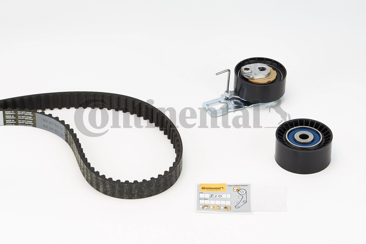 Set distributie curea