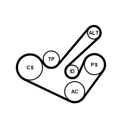 Set curea transmisie cu caneluri
