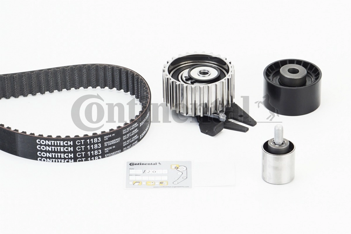 Set distributie curea