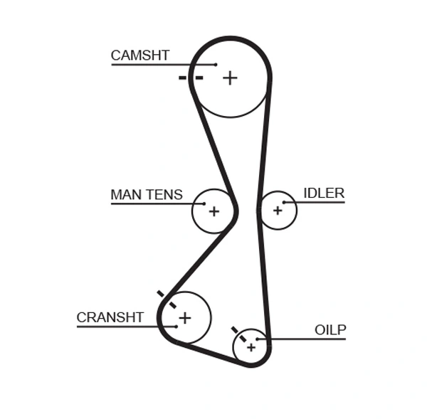 Set distributie curea