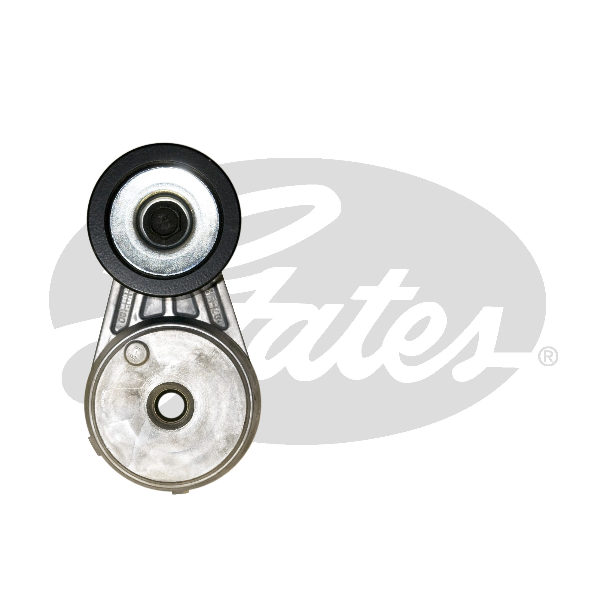 Intinzator curea distributie