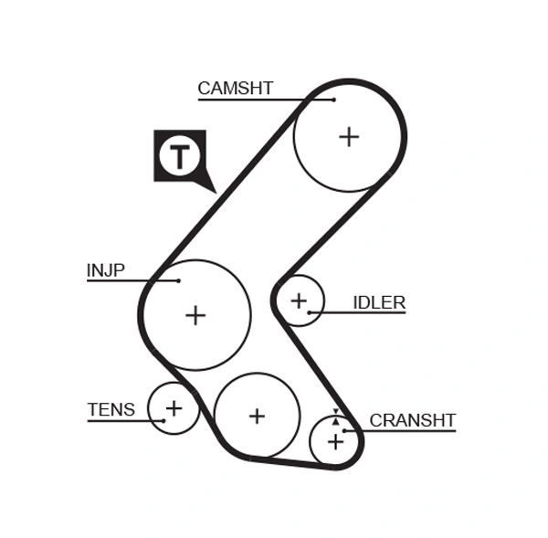 Set distributie curea