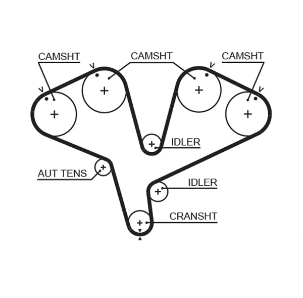 Set distributie curea