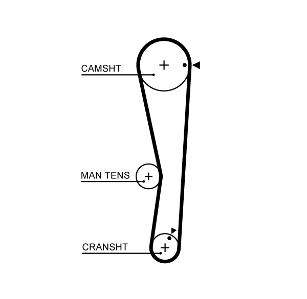 Set distributie curea