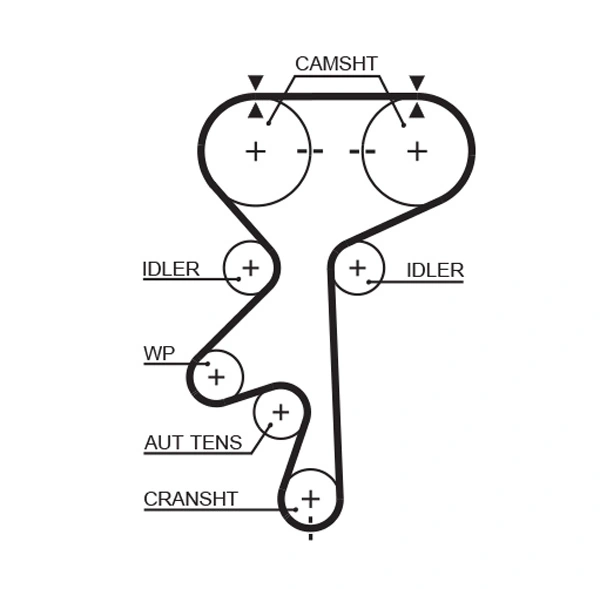 Set distributie curea si pompa apa